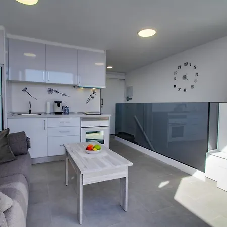 Apartment Penthouse Mit Traumblick Arguineguin